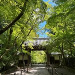 【京都観光】生命力溢れる青もみじの参道が美しい！西山の古刹「光明寺（こうみょうじ）」