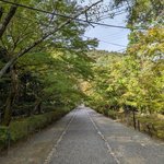【紅葉リポート2023】☆紅葉の馬場☆で知られる「二尊院」～ 古刹の今をご報告 ～