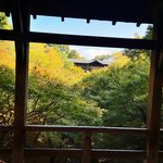 【2023京都紅葉最新】必訪の名所『東福寺』直近の絶景！京都国立博物館も併せて訪れたい☆