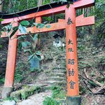【京都秘境】臨済宗を中興した『坐禅和賛』の祖・白隠禅師ゆかりの仙人洞窟「白幽子巌居蹟」