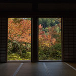 【京都紅葉2023】三尾の古刹の紅葉が色づいています「槙ノ尾山 西明寺」【高雄】