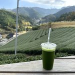 京都で最高のお茶体験！茶園を見下ろす絶景テラスでティータイムを「小山園製茶場」