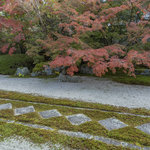 【京都紅葉2023】山内でも早期に色づく紅葉名所「南禅寺天授庵」