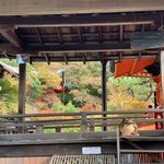 【2023京都紅葉最新】人気の名所☆大石神社～勧修寺～毘沙門堂～山科疏水他【５スポット】