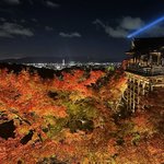 【京都】観光客であふれるが一度は訪れたい圧巻の美しさ『清水寺』秋のライトアップ