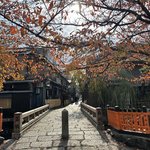【京都紅葉】飾り気のないしっとりした美しさ「祇園白川・巽橋」