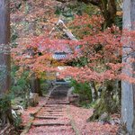 【京都紅葉】穴場の古刹でゆっくりと晩秋の紅葉を楽しむ！南丹市「龍穏寺」