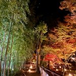 【京都紅葉】静寂の蒼い竹林と燃えるようなモミジ『鹿王院』