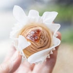 絶品「栗」を食べ歩く☆ゆんたびグルメツアーズ「栗」ツアー【京都・二条城エリア】