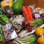 【京都市場】今が旬の冬野菜満載☆京野菜も豊富な京都最大級直売所「たわわ朝霧」