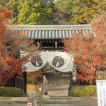 【京都紅葉振り返り】長岡京屈指の紅葉名所「光明寺」