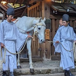 世界遺産『上賀茂神社』で邪気を祓う神馬の儀式～白馬奏覧神事～