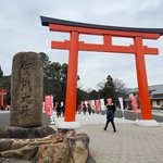 【京都初詣2024】辰年こそ参拝したい龍神祀る摂社も☆1月7日は七草粥接待「上賀茂神社」