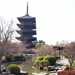 【特別公開】『東寺』で見た荘厳な密教世界に圧倒される！