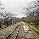 【京都桜最新2024】今年は開花遅めの東山桜名所☆南禅寺～清流亭～インクライン～疏水