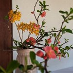 京の方除大社「城南宮」で嵯峨御流華道花展が開催！神苑では桃や山吹が見頃