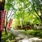 京都のおすすめ新緑スポット！『今熊野観音寺』なら青もみじの中をゆっくりと散策出来ます