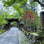 【京都新緑】苔むした青もみじ名所！都の鬼門守護神で比叡山延暦寺塔頭「赤山禅院」