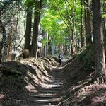 【京都一周トレイル⑤】景観多彩な北山東部コース！比叡山延暦寺行者道～大原～静原～鞍馬寺☆