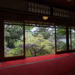 【京都】3日間限定！毎年見頃に合わせて公開される、藤の庭が魅力「妙心寺長慶院」