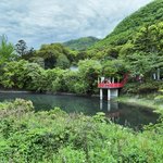 【京都穴場】新緑に佇む“日本一の縁結び”☆禁足地の御神体山から霊水湧く神社「出雲大神宮」