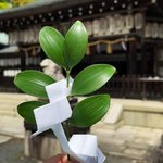 【新緑】京都哲学の道にある熊野古道の起点！京都三熊野に数えられる神社「熊野若王子神社」