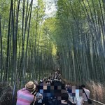 【京都一周トレイル⑦】清流＆激混み名所の西山コース☆清滝川～愛宕参道～嵯峨野竹林の小径
