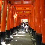 【京都一周トレイル⑨】初心者最適の東山コース☆伏見桃山城～大岩山～伏見稲荷大社千本鳥居
