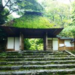 【京都癒しスポット】新緑の『法然院』　静寂を楽しみながら散策しましょう