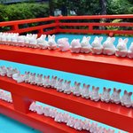 【京都ツウ】うさぎ神社境内にある梅雨只中こそ訪れたい『雨社』☆茅の輪も登場「岡崎神社」