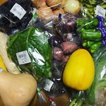【京都市場】夏の京野菜も続々登場！京都最大級ファーマーズマーケット「たわわ朝霧」