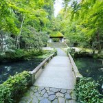 【京都散歩2024】京都随一の観光名所を早朝ぶらり☆南禅寺～永観堂～哲学の道～法然院他