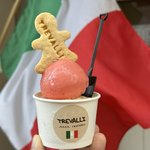 【京都】伏見観光のお供に本格ジェラートを！レストランの味をテイクアウト「トレヴァッリ」