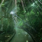 【京都】今秋、大注目の没入型ライトアップ！府立植物園で開催「LIGHT CYCLES」
