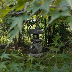 【京都紅葉】金福寺の「奥ゆかしい」と評判の紅葉をチェック