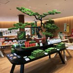 【京都スイーツ】世界に誇る抹茶スイーツ！マールブランシュ『茶の菓』限定品も「ロマンの森」