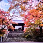 【京都紅葉スポット】小さな桂離宮とも呼ばれる『曼殊院門跡』の美しい景色