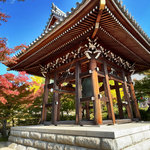 【2024京都紅葉最新】京都駅近でグラデーション見頃☆夜間特別拝観や宿坊も「智積院」