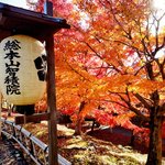 【紅葉スポット】境内が赤く染まる！『智積院』の見事な紅葉と利休好みの庭園