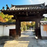 【2024京都紅葉最新】ゆる坂参道モミジ見どころ☆京都駅近の『血天井』名刹「養源院」
