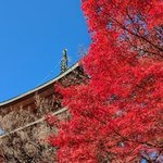 【京都紅葉】隠れた紅葉の名所　多宝塔が地域のシンボル「三明院」