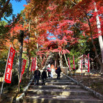 【2024京都紅葉最新】今週見頃もみじ赤絨毯まもなく！老舗スイーツ茶屋登場「毘沙門堂」