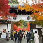 【2024京都紅葉最新】師走名残りの紅葉スポット☆南禅寺～永観堂～哲学の道～法然院他
