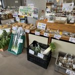 【海の京都】丹後特産品＆無料博物館『野村克也ベースボールギャラリー』も「アミティ丹後」