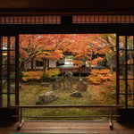 【京都】京都紅葉のアンカー的存在 雅やかな潮音庭の紅葉「建仁寺」【祇園】