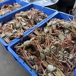 【京都】京丹後で人気、地元で愛される魚屋さん！海鮮土産も揃う「橘商店」