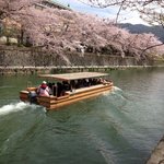 【京都ぶらり】琵琶湖疏水を歩く散策道『そすいさんぽ』☆鴨川～山科～滋賀大津【前編】