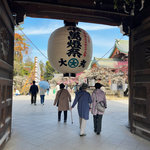 【京都の花】学問の神様・菅原道真を象徴する梅見頃☆梅苑『花の庭』も公開中「北野天満宮」