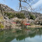 【京都穴場】霊水＆禁足地の御神体山パワースポット☆桜見頃の“日本一の縁結び”「出雲大神宮」