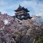 【京都・伏見の桜巡り】伏見桃山エリアで桜を満喫　春に訪れたい名所がたくさん